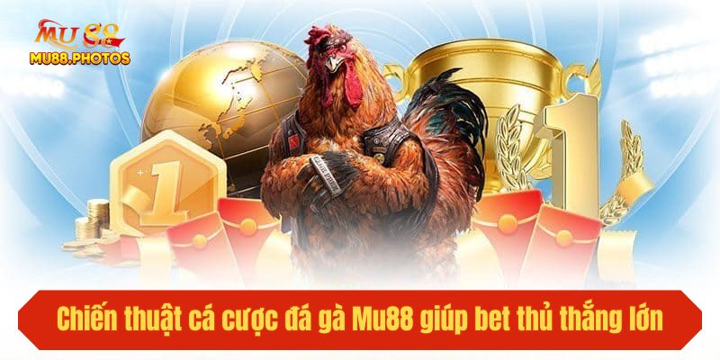 Chiến thuật cá cược đá gà Mu88 giúp bet thủ thắng lớn