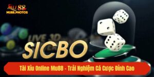 Tài Xỉu Online Mu88 - Trải Nghiệm Cá Cược Đỉnh Cao 2025