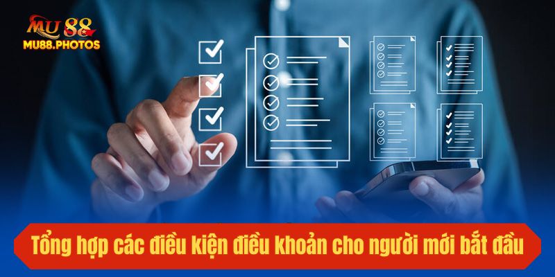 Tổng hợp các điều kiện điều khoản cho người mới bắt đầu