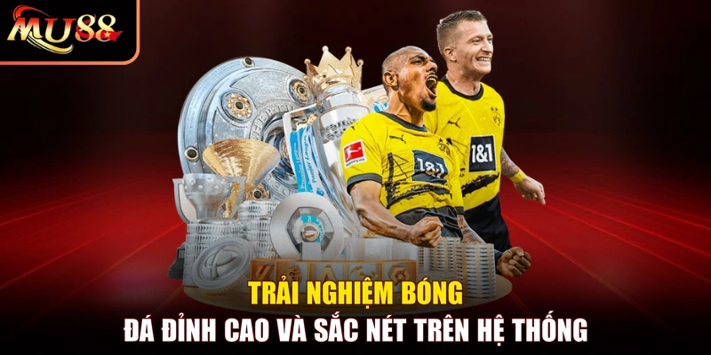 Trải nghiệm bóng đá đỉnh cao và sắc nét trên hệ thống